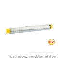 Explosion-proof Fluorescent Light